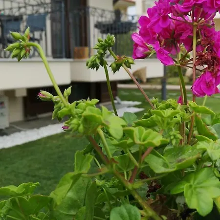 Varka 3* Nikiti (Sithonia)