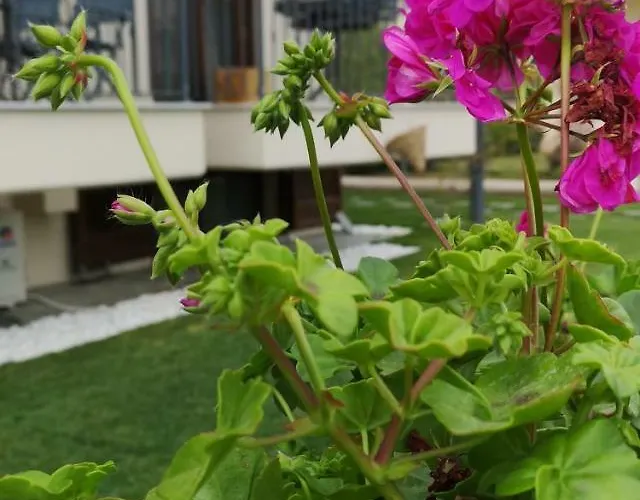 Varka 3* Nikiti (Sithonia)